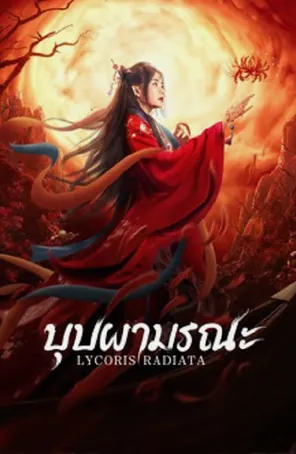 lycoris-radiata-2022-บุปผามรณะ